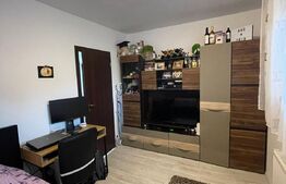 Apartament 1 camera, 30 mp utili + terasa acoperita de 20 mp, la cheie, Dambul Rotund