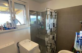 Apartament 1 camera, 30 mp utili + terasa acoperita de 20 mp, la cheie, Dambul Rotund