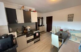 Apartament 1 camera, 30 mp utili + terasa acoperita de 20 mp, la cheie, Dambul Rotund