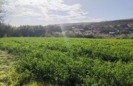 Casa 2 camere, 70 mp,  teren de 3000 mp, sat Boldut 