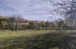 Casa 2 camere, 70 mp,  teren de 3000 mp, sat Boldut 