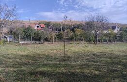 Casa 2 camere, 70 mp,  teren de 3000 mp, sat Boldut 