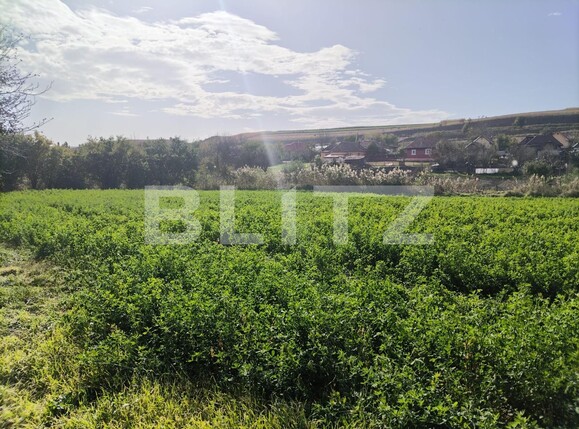 Casa de vânzare 2 camere Câmpia Turzii - 129375CV | BLITZ Cluj-Napoca | Poza15