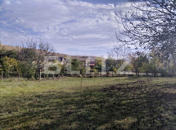 Casa de vânzare 2 camere Câmpia Turzii - 129375CV | BLITZ Cluj-Napoca | Poza17