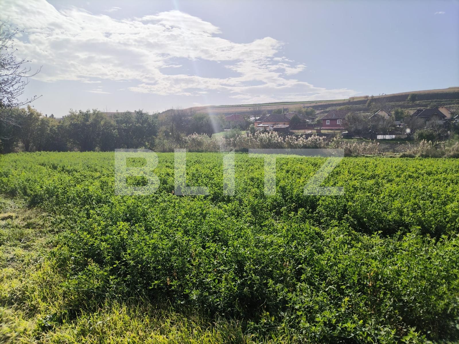 Casa de vânzare 2 camere Câmpia Turzii - 129375CV | BLITZ Cluj-Napoca | Poza15