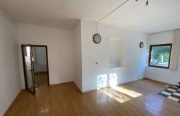 Spațiu Comercial de închiriat, cartier Astra