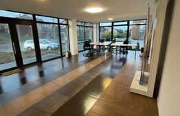  Spatiu comercial, 65 mp, ideal pentru magazine, saloane, cabinete, Dambul Rotund