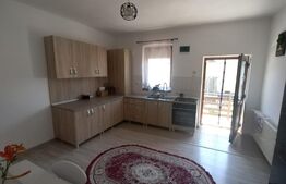 Casă de vânzare, teren 1024 mp, grădină și livadă, Vulcan 