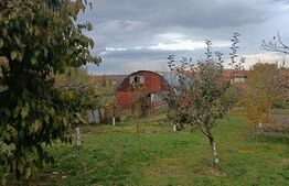 Casă de vânzare, teren 1024 mp, grădină și livadă, Vulcan 
