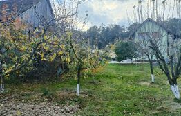 Casă de vânzare, teren 1024 mp, grădină și livadă, Vulcan 