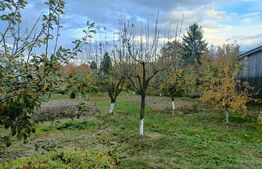 Casă de vânzare, teren 1024 mp, grădină și livadă, Vulcan 