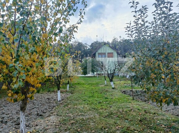 Casa de vânzare 3 camere Vulcan - 129389CV | BLITZ Brașov | Poza4