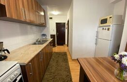 Apartament 1 camera, 40 mp, mobilat modern, zona Kaufland