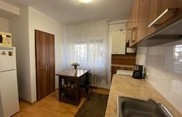 Apartament 1 camera, 40 mp, mobilat modern, zona Kaufland