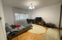 Apartament 1 camera, 40 mp, mobilat modern, zona Kaufland