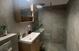 Apartament cu o camera pentru regim hotelier, 35mp, la cheie, zona Andrei Muresanu 