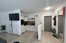 Apartament modern, 2 camere, 45mp, la 3 minute de Vivo, zona strazii Muzeul Apei