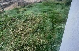 Apartament 3 camere, 75mp, gradina 77mp, parcare, zona Cetatii