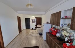Apartament 2 camere, 41mp, lift, zona Urusagului
