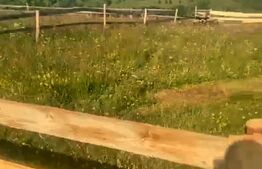 Teren extravilan, 780mp, Maguri Racatau