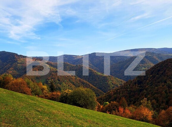 Teren de vânzare Măguri-Răcătău - 129485TV | BLITZ Cluj-Napoca | Poza1