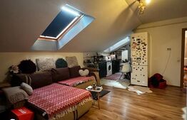 Apartament 2 camere, mobilat, 56 mp utili, zona Florilor 