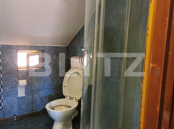 Casa de vânzare 7 camere Zarnesti - 129520CV | BLITZ Brașov | Poza10