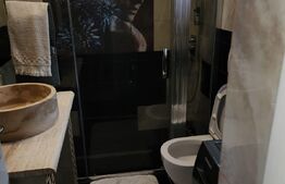 Casa superba Tohanul Nou, 350mp