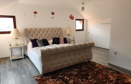 Casa superba Tohanul Nou, 350mp