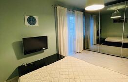 Apartament 1 camera, 35mp, modern, parcare, zona Muzeul Apei