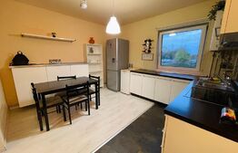 Apartament 1 camera, 35mp, modern, parcare, zona Muzeul Apei