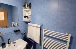 Apartament cu 1 camera, 33 mp, Calea Floresti 