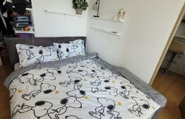Apartament cu 1 camera, 33 mp, Calea Floresti 
