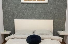 Apartament 1 camera, 45mp, parcare, Sophia Residence