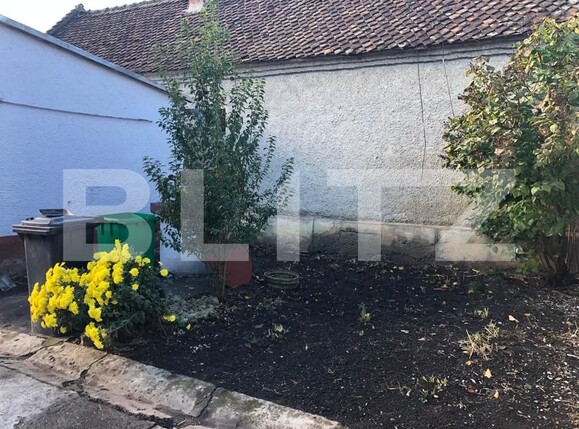 Casa de vânzare 4 camere Hălchiu - 129748CV | BLITZ Brașov | Poza19