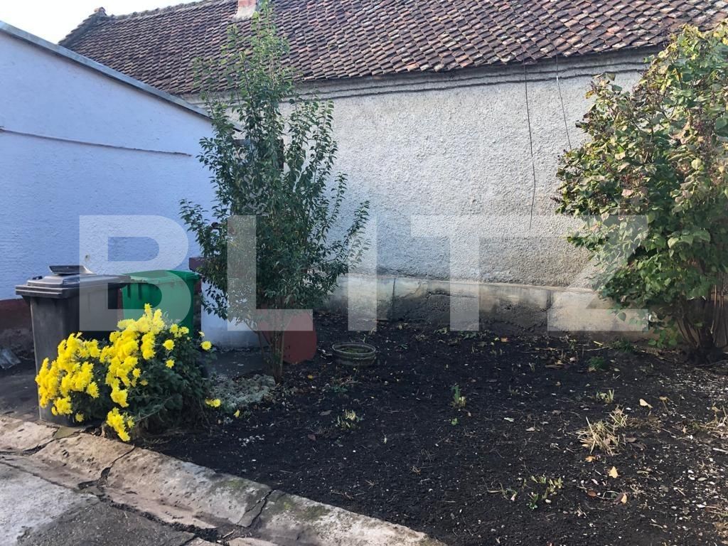 Casa de vânzare 4 camere Hălchiu - 129748CV | BLITZ Brașov | Poza19