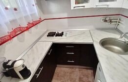  Investitie sigura !! - Garsoniera, 21mp, langa Iulius Mall ( FSEGA)