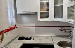  Investitie sigura !! - Garsoniera, 21mp, langa Iulius Mall ( FSEGA)