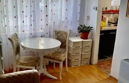  Investitie sigura !! - Garsoniera, 21mp, langa Iulius Mall ( FSEGA)