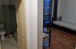 Casa 5 camere, 200 mp utili, zona Lidl Baciului
