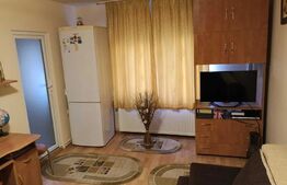 Garsoniera cocheta, 29 mp, zona La Terenuri