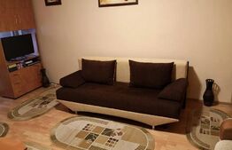 Garsoniera cocheta, 29 mp, zona La Terenuri