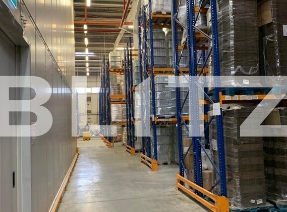 Spațiu industrial de închiriat Apahida - 130013SII | BLITZ Cluj-Napoca | Poza14