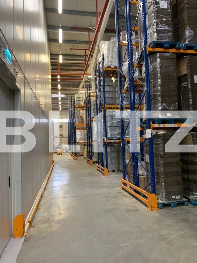 Spațiu industrial de închiriat Apahida - 130013SII | BLITZ Cluj-Napoca | Poza14