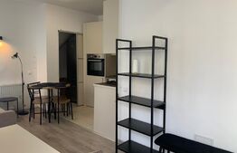 Duplex 3 camere, 110 mp utili, zona Platinia