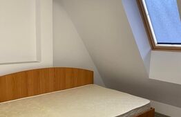Duplex 3 camere, 110 mp utili, zona Platinia