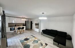 Apartament 3 camere, 70mp, parcare, gradina, zona Tineretului / Somesului