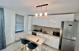 Apartament 3 camere, 70mp, parcare, gradina, zona Tineretului / Somesului