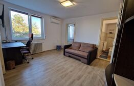 Apartament 2 camere, pet friendly, 35mp, A.C, zona străzii Brâncoveanu
