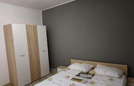 Apartament de vânzare, 2 camere, 50 mp, etaj intermediar, Gemenii, complet renovat 